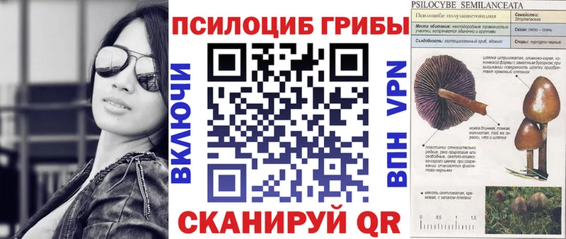 Купить закладки Бабаево Галлюциногенные грибы прущие грибы